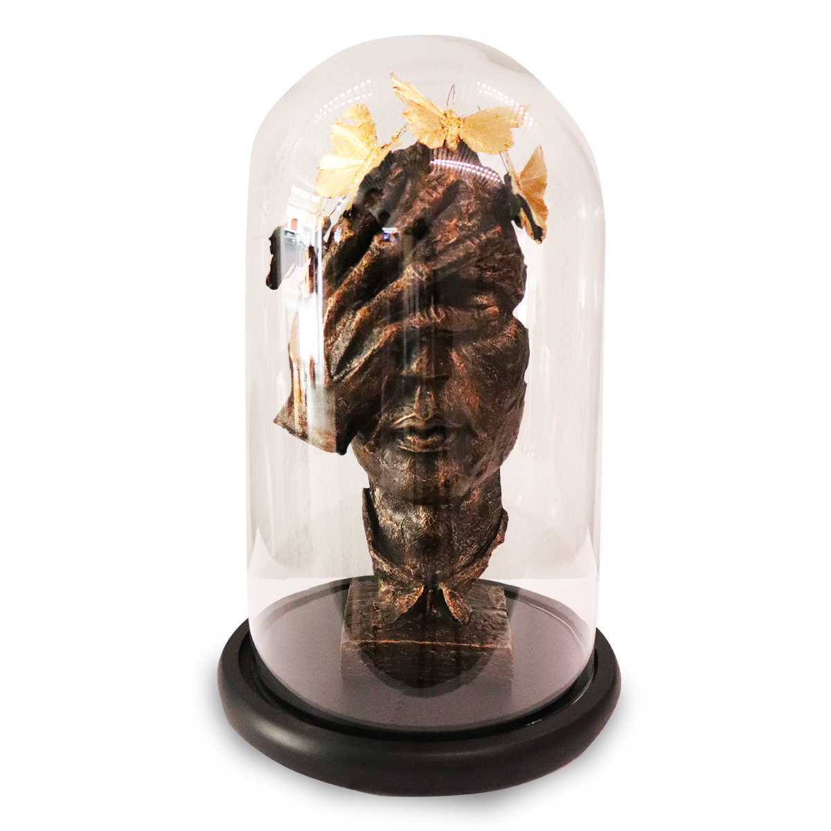 ODM Papillon Visage